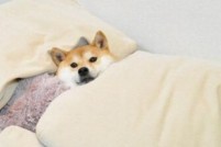 ĺֽȡů